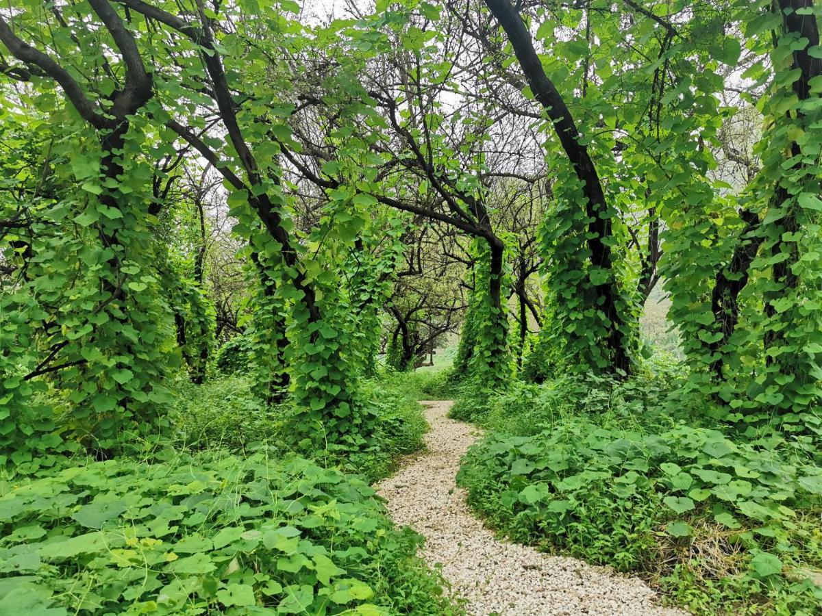 G R A N D C H A L E T Villa Selale Dış mekan fotoğraf